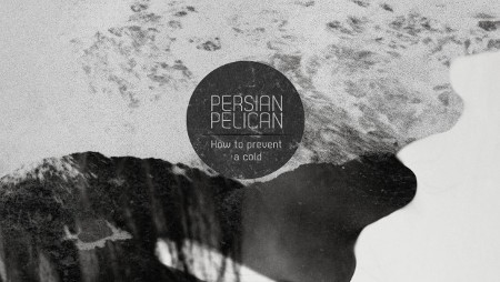 Persian Pelican - How to prevent a cold