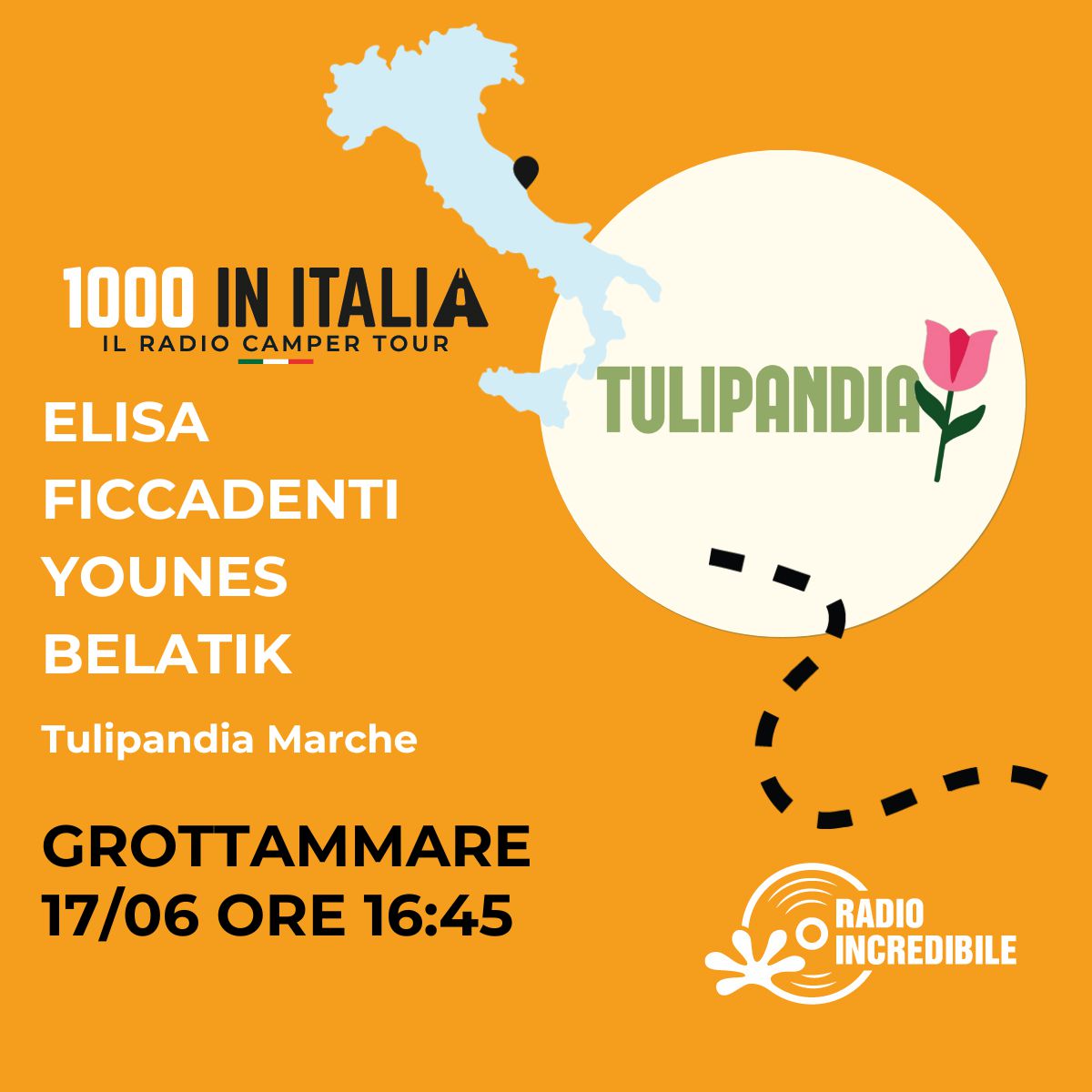 tulipandia_c